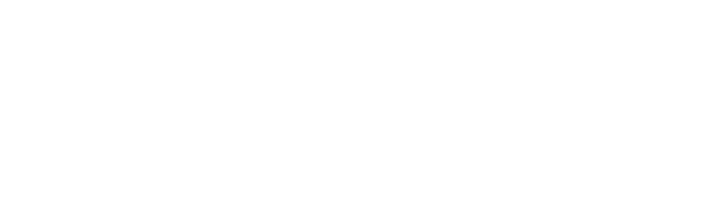 Raise logo